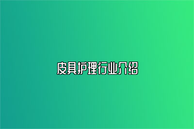 皮具护理行业介绍