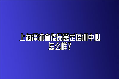 上海泽沐奢侈品鉴定培训中心怎么样？