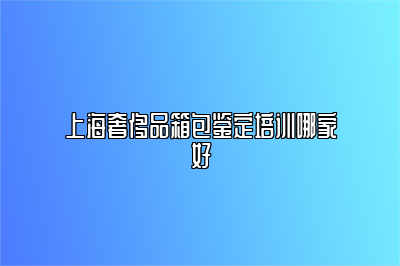 上海奢侈品箱包鉴定培训哪家好