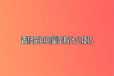 奢侈品包包鉴定有什么技巧