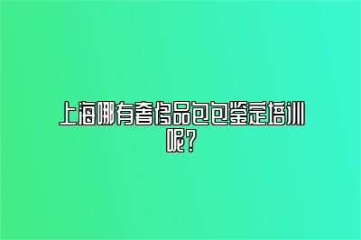 上海哪有奢侈品包包鉴定培训呢？