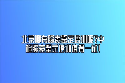 北京哪有腕表鉴定培训呢？中检腕表鉴定培训值得一试！