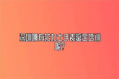 深圳哪有劳力士手表鉴定培训呢？