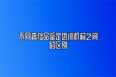 不同奢侈品鉴定培训机构之间的区别