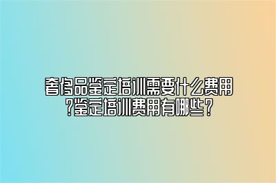 奢侈品鉴定培训需要什么费用？鉴定培训费用有哪些？