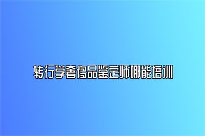 转行学奢侈品鉴定师哪能培训