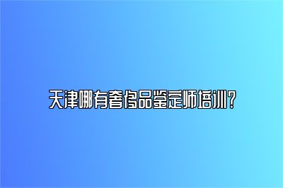 天津哪有奢侈品鉴定师培训？