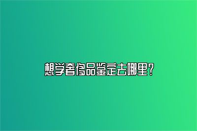 想学奢侈品鉴定去哪里？