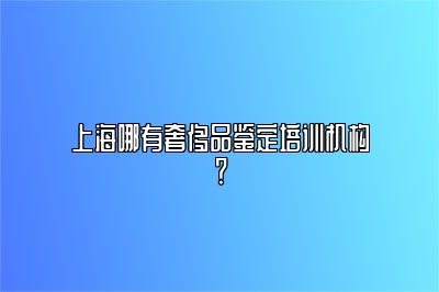 上海哪有奢侈品鉴定培训机构？