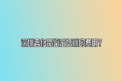 深圳奢侈品鉴定培训的费用？